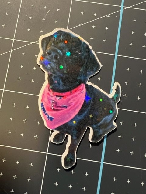 Turn Your Pet Into A Sticker - Sticker Pack - All Pets Welcome