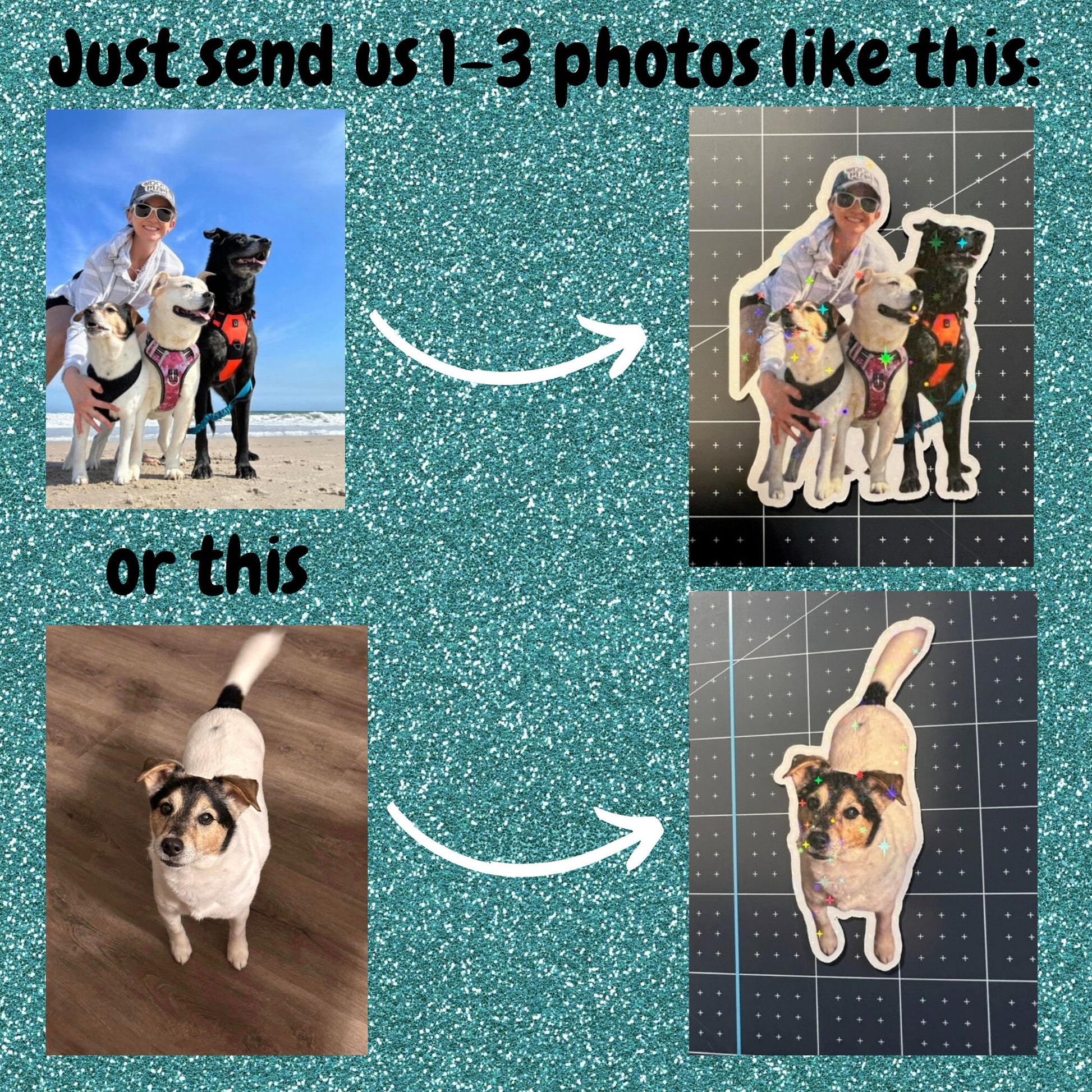 Turn Your Pet Into A Sticker - Sticker Pack - All Pets Welcome